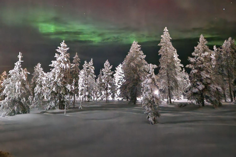 Levi: Northern Lights by Snowshoe Hike with Latvian Guide Northern Lights Snowshoe Hike in Levi with Latvian Guide