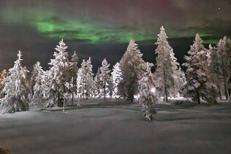 Levi: Northern Lights by Snowshoe Hike with Latvian Guide Northern Lights Snowshoe Hike in Levi with Latvian Guide