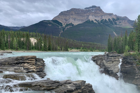 Jasper, Columbia Icefield, Peyto, Athabasca Sunwapta Falls Calgary meet up