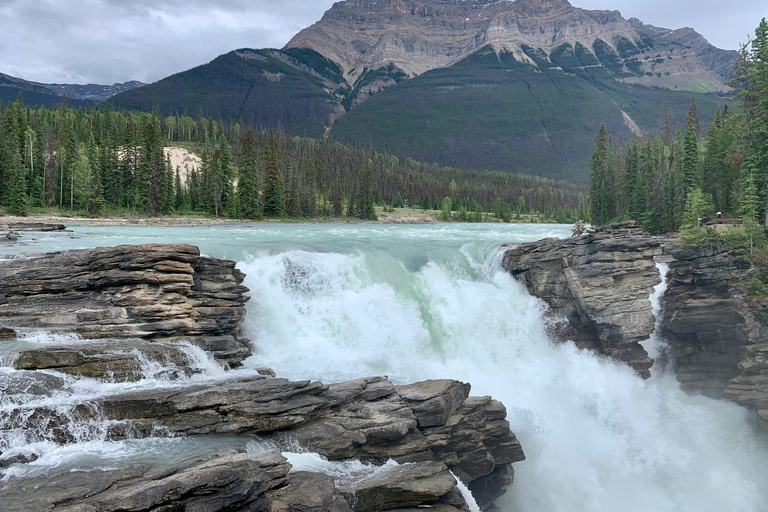 Jasper, Columbia Icefield, Peyto, Athabasca Sunwapta Falls Calgary meet up