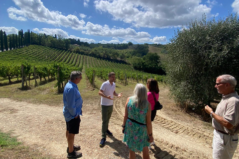 Tour di Siena e San Gimignano in van da Lucca o Pisa