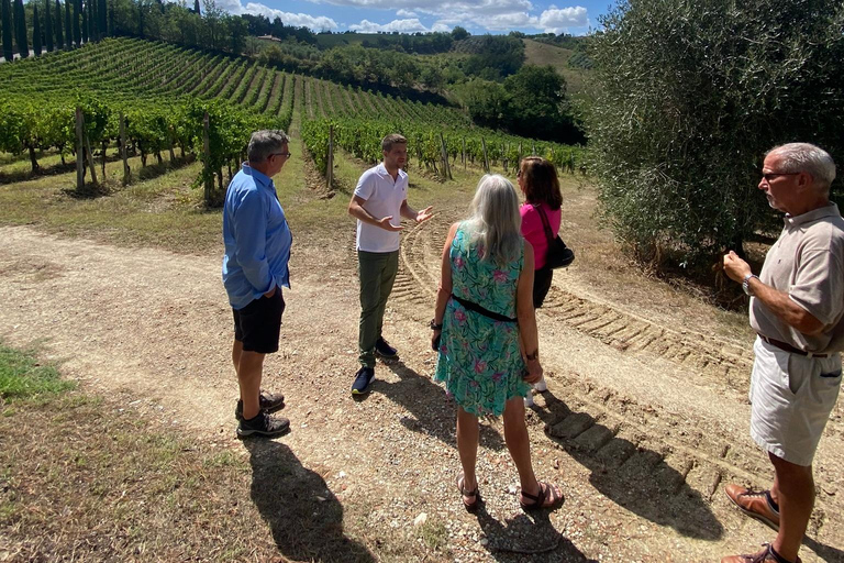 Tour di Siena e San Gimignano in van da Lucca o Pisa