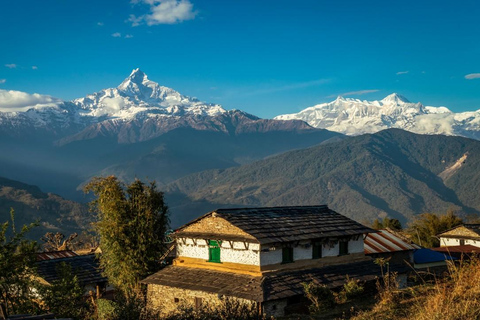 Australian Base Camp Day Hike Pokhara