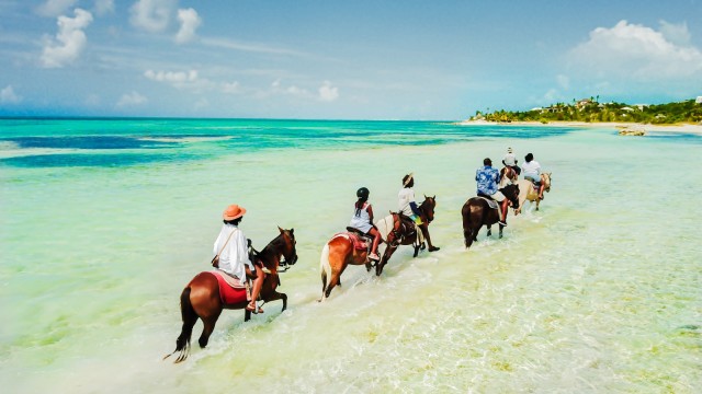 Visit Turks and Caicos Horseback Ride and Swim in Providenciales, Turks and Caicos
