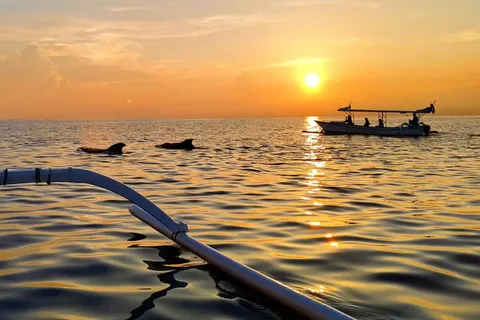Lovina/observation, baignade et plongée avec masque et tuba avec les dauphins