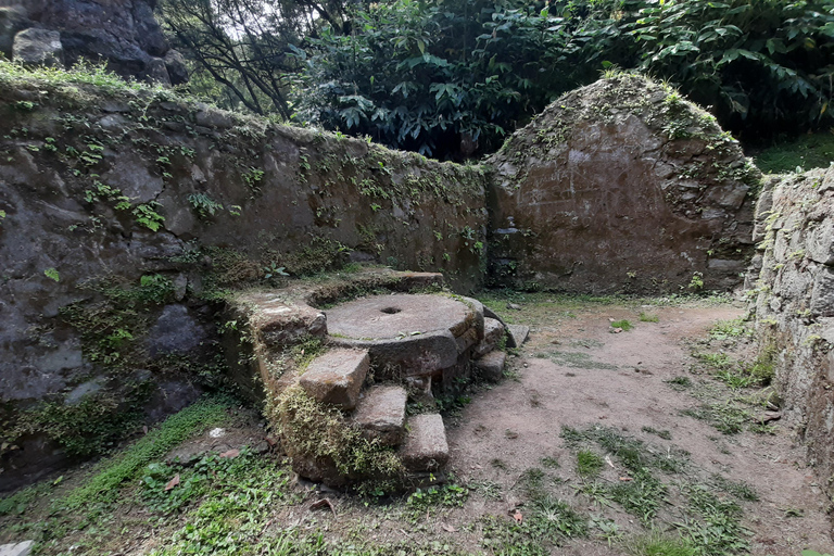 São Miguel: Moinho do Felix-Wanderung mit Besuch der Teefabrik