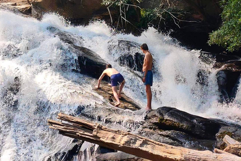 Chiang Mai: Jungle Trek, Elephants care & Bamboo Rafting