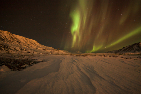 Tromsø: Northern Lights Guided Bus TourTromsø: Northern Lights Chase in Spanish