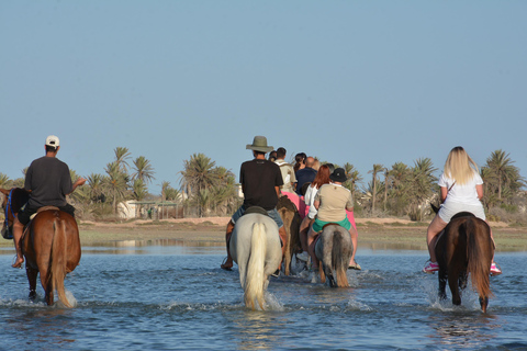 Disfruta de la Aventura durante 2,5 horas con Caballos y Camellos