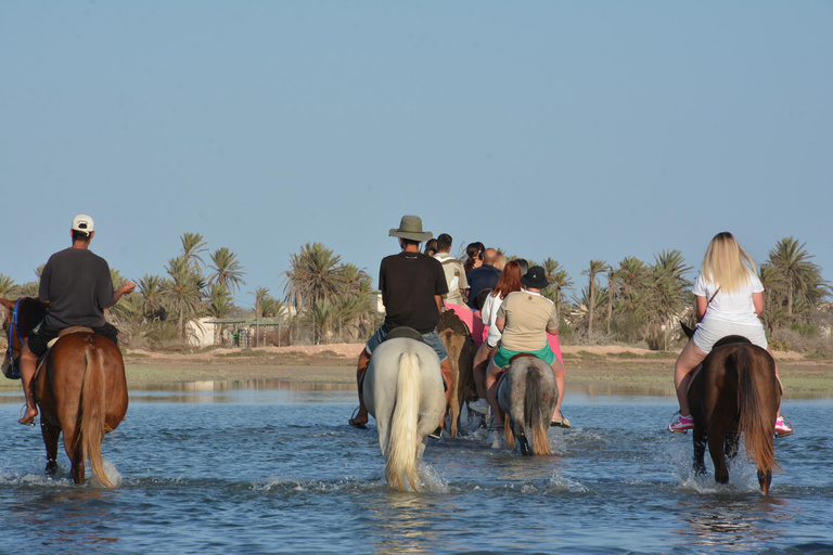 Enjoy the Adventure for 2.5 hours with Horses and Camels