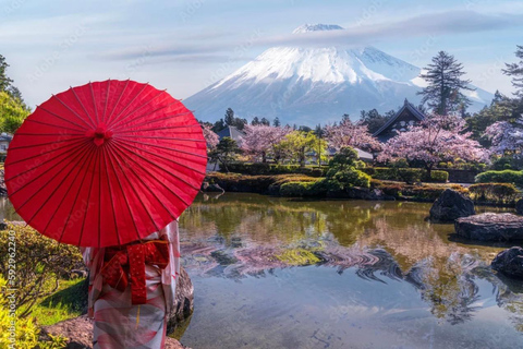 From Tokyo/Yokohama: Mt. Fuji & Tea Ceremony Private Tour