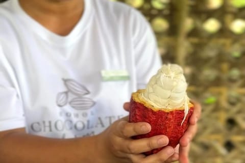Bohol Chocolate Making and Farm Tour - Image 2