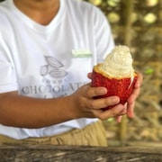Bohol Chocolate Making and Farm Tour