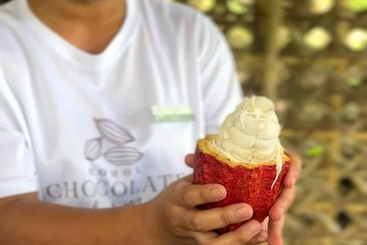 Bohol Chocolate Making and Farm Tour