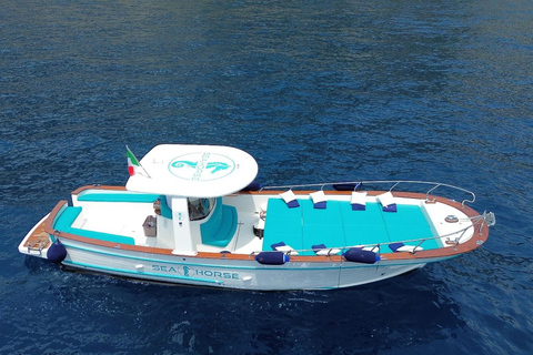 Côte POSITANO : Aventure en bateau - Grottes, plages, AmalfiPOSITANO visite d&#039;une jounée