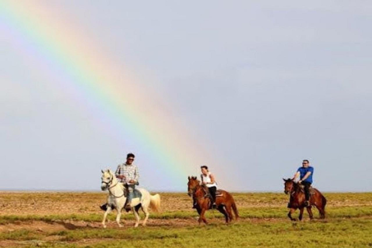 Aruba: Horseback Morning Tour and Beach Ride
