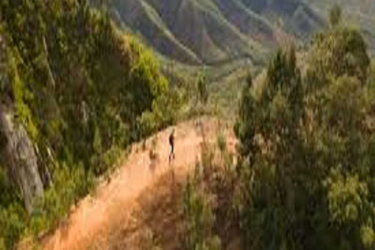 Excursion de 3 jours Randonnée dans les montagnes majestueuses d&#039;Usambara Aventure Moshi