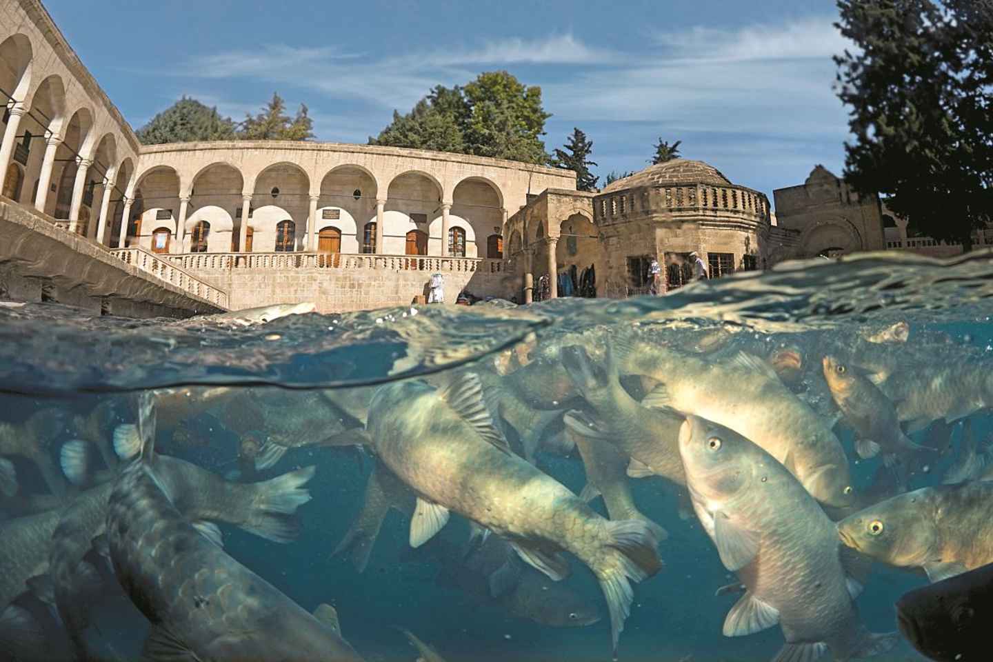 伊斯坦布尔往返：探索哥贝克力石阵一日游