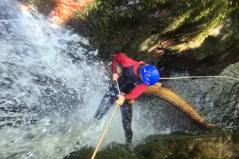 Batumi: Canyoning Adventures
