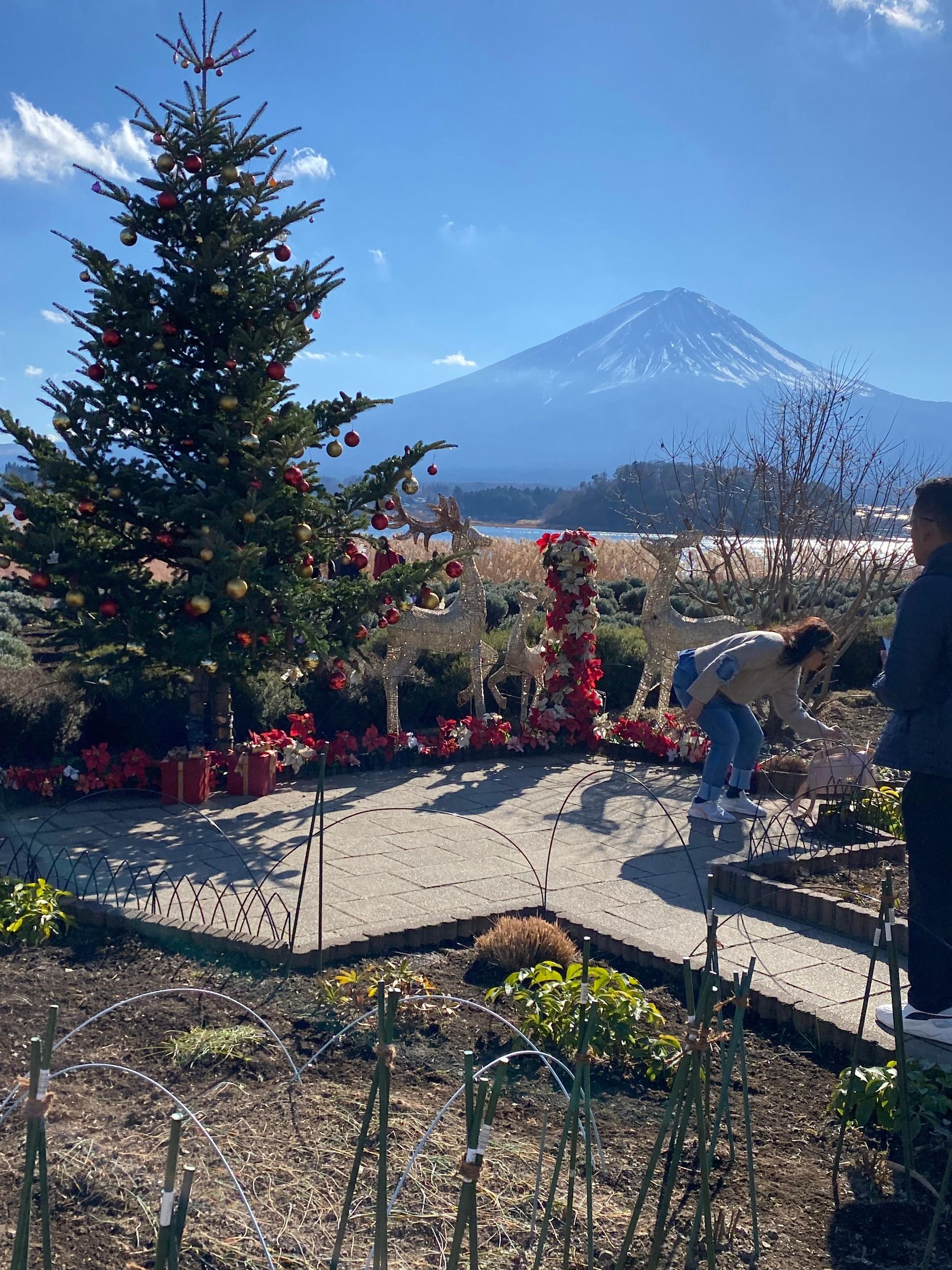 Tokio & Berg Fuji: Private Tagestour mit englischsprachigem Guide