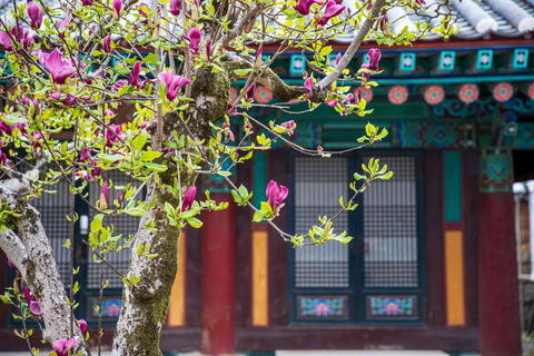 Tongdosa UNESCO & Gourmet Half Day Private Tour from Busan