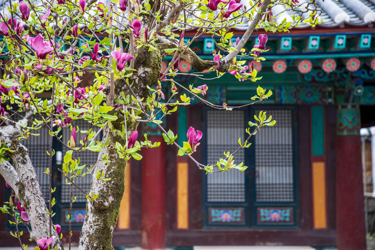 Tongdosa UNESCO & Gourmet Half Day Private Tour from Busan