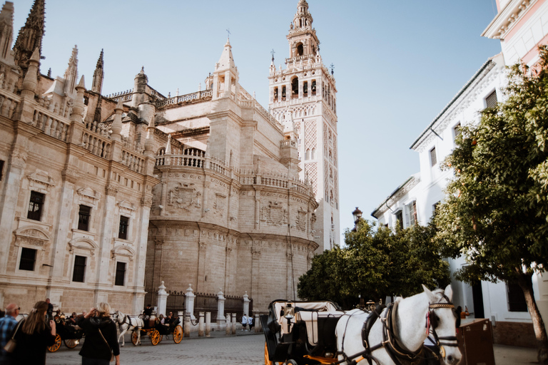 Private Horse-Drawn Carriage Ride in Seville