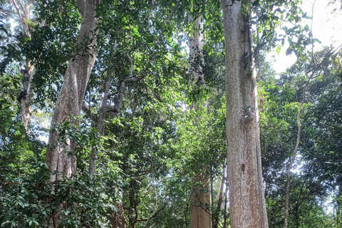 Cat Tien National Park with Crocodile Lake