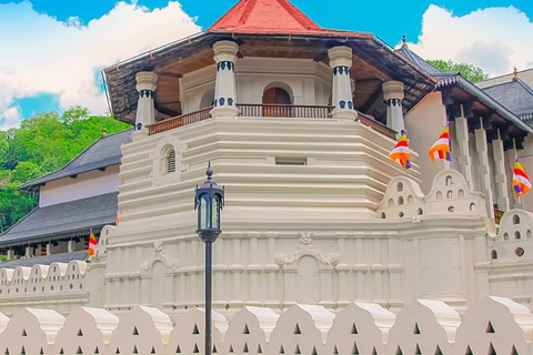 Kandy: Tuk-Tuk Sights, Culture, Shopping & Treatment