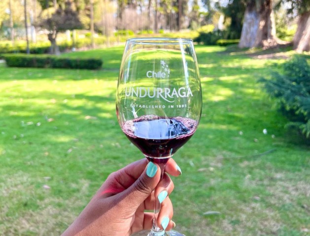 Visit Santiago Undurraga Winery Tour with Entry and Wine Tasting in Vitacura, Santiago, Chile