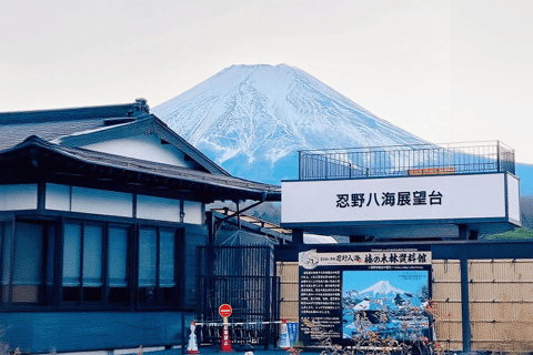 Tour zur fünften Station des Fuji und zum ThermalbadFuji-Ausflug ab Tokyo Station, Abfahrt um 7:30 Uhr