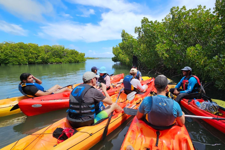 Ile d Ambre Kayakkayak en el Parque Nacional de Ile d Ambre