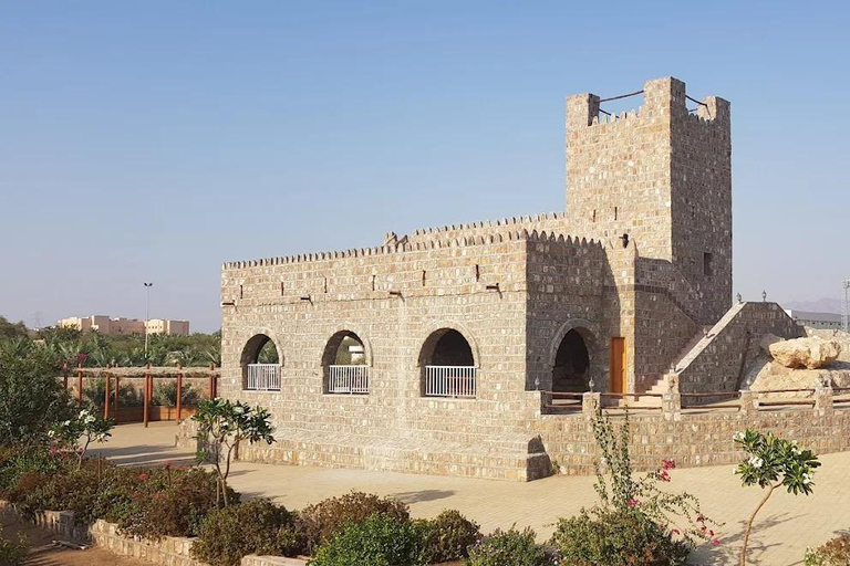 Ajman: Full-Day Sightseeing Guided Tour with Hotel Pickup