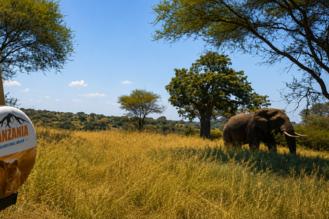 From Arusha: 3-Day Serengeti & Ngorongoro Safari with Meals