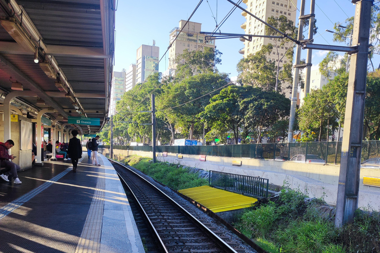 São Paulo: Modern Architecture and Luxury Walking Tour