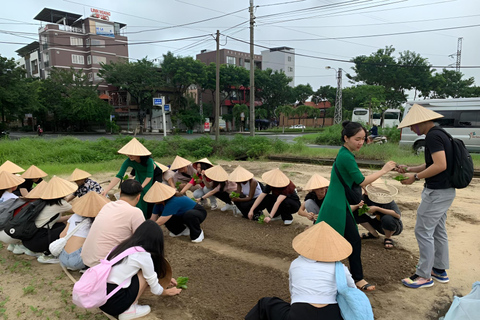 Danang Home Cooking Tour: From Farm to Table