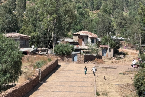 Axum: Guided Historical Tour with Transfers and Hotel