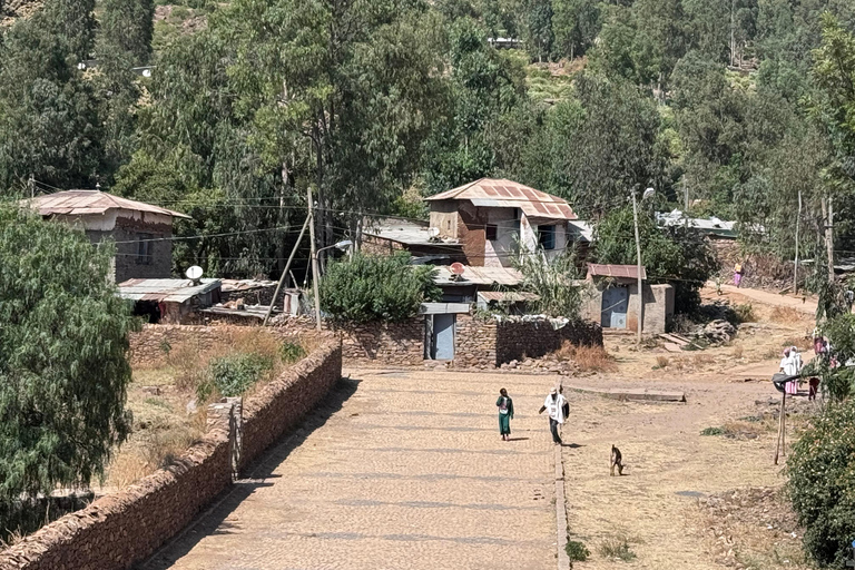 Axum: Guided Historical Tour with Transfers and Hotel