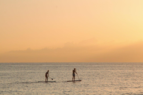 Colombo Tour - obserwacja delfinów podczas luksusowego rejsu i wycieczka po mieścieColombo Dolphin Watching podczas luksusowego rejsu wycieczkowego i zwiedzania miasta