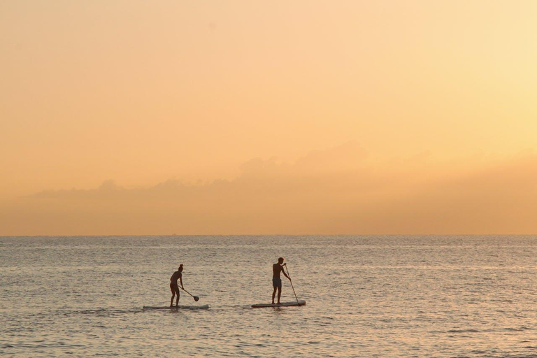 Colombo Tour - obserwacja delfinów podczas luksusowego rejsu i wycieczka po mieścieColombo Dolphin Watching podczas luksusowego rejsu wycieczkowego i zwiedzania miasta