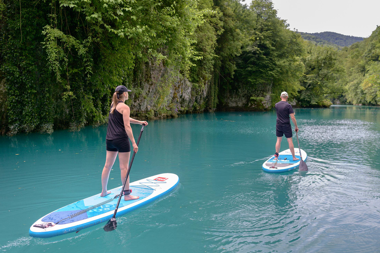 Półdniowy Stand-up Paddle Boarding na rzece Soča