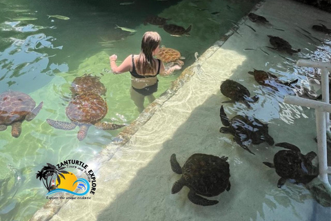 Nungwi: Swimming with Turtles at The Lagoons Zanzibar Hotel Transfers within Nungwi and Kendwa