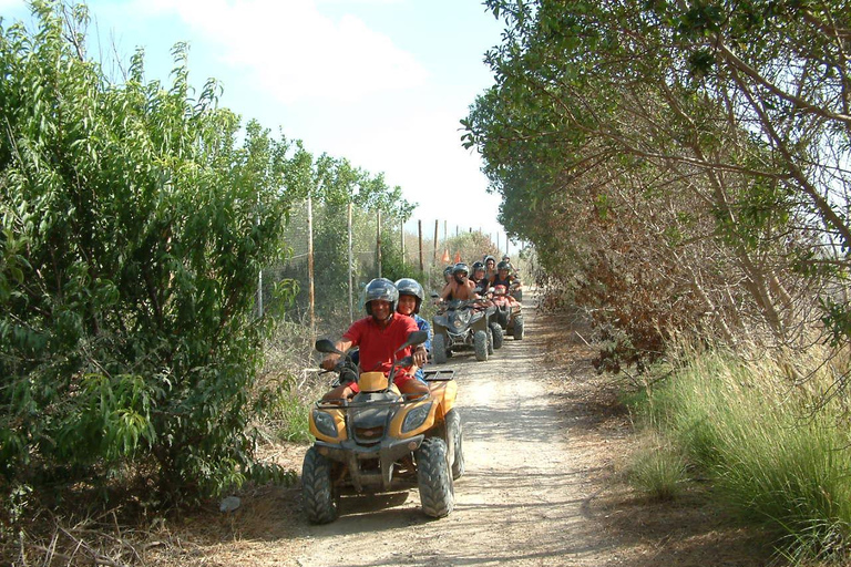 Paphos: Quad and Buggy Afternoon Safari to Adonis Waterfalls Paphos: Buggy Afternoon Safari to Adonis Waterfalls