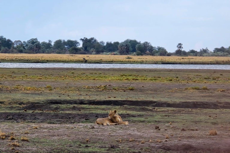 Crucero al atardecer por el río Chobe