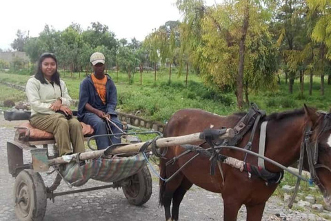 Addis Ababa: Khat, Coffee, and Gari Ride Tour with Guide