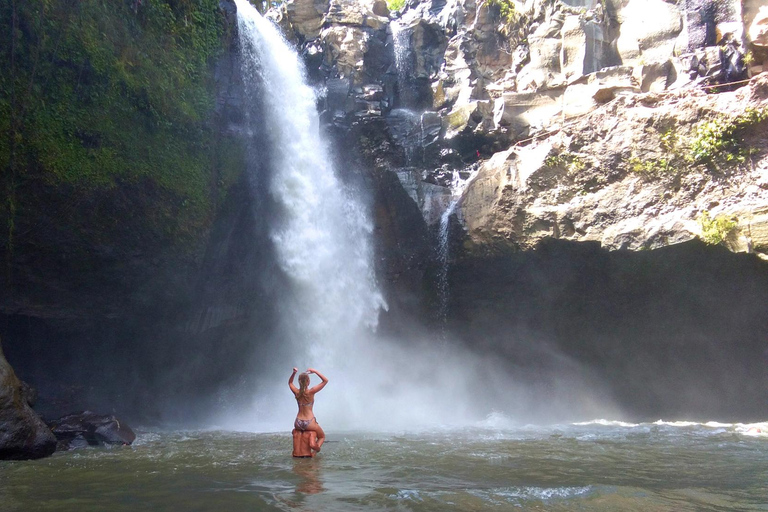 Bali: Tegenungan Waterfall Guided Trek & Tour with Transfer Waterfall Tour & Tegalalang Rice Terrace with Transfer