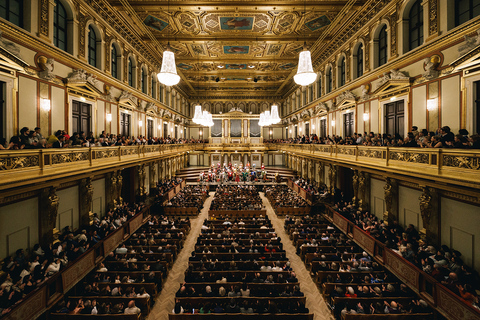 Vienna: Mozart Concert and Austrian Delights Dinner Category C