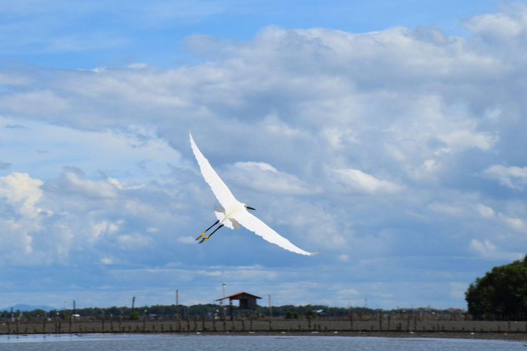 Targ Maeklong, tajemnice namorzynów, podróż inspirowana lotosem