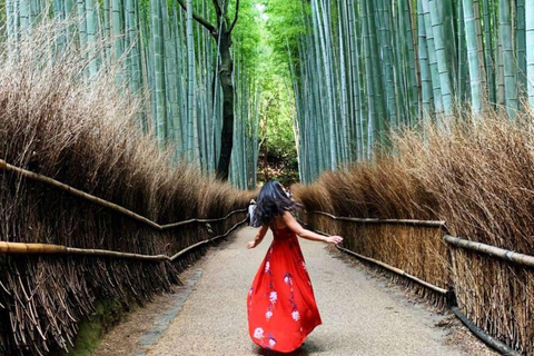 Kyoto/Nara: Must-see Spots in One Day Tour with Hotel Pickup