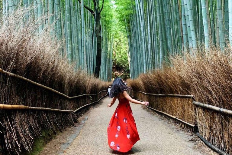 Kyoto/Nara: Must-see Spots in One Day Tour with Hotel Pickup